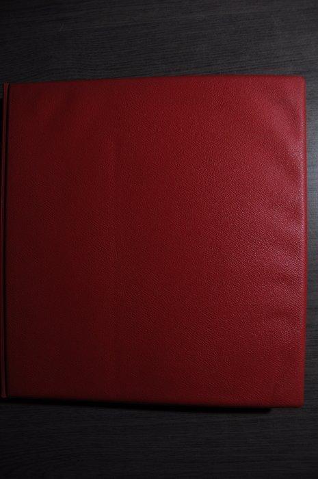 België - Verzamelingen in 2 DAVO albums en een stockboek, Timbres & Monnaies, Timbres | Europe | Belgique