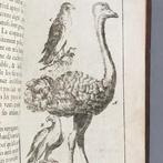 Noël-Antoine Pluche - Le spectacle de la nature - 1736