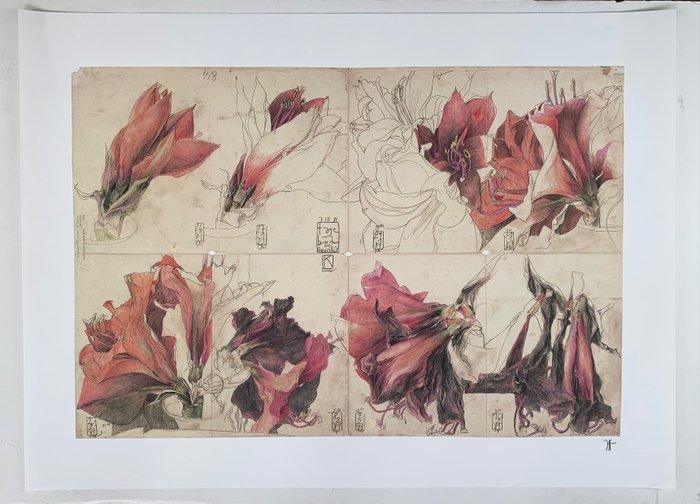 Horst Janssen (1929-1995) (after) - Tagebuch einer, Antiek en Kunst, Curiosa en Brocante