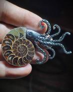 Geen reserveprijs Prachtige ammoniet, handgemaakte, Verzamelen