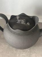 Spode - Theepot - Steengoed