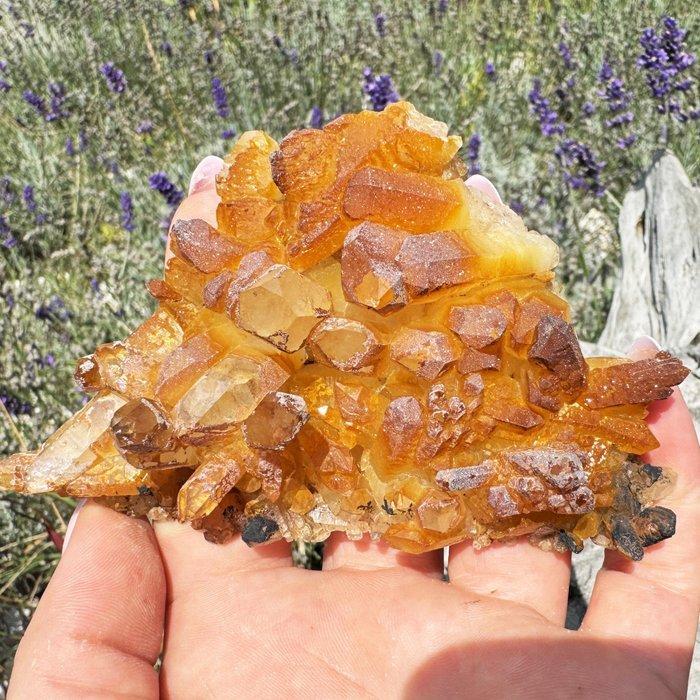Prachtige Golden Healer oranje kwarts Kristalcluster -, Collections, Minéraux & Fossiles