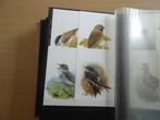 Belgique - Importante collection de cartes maximum « oiseaux, Gestempeld