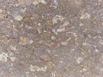 Micrométéorite NWA 8167, achondrite, uréilite, tranche