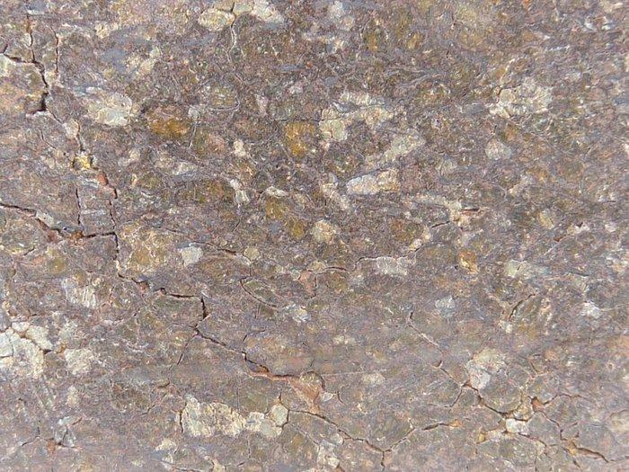 Micrométéorite NWA 8167, achondrite, uréilite, tranche, Verzamelen, Mineralen en Fossielen