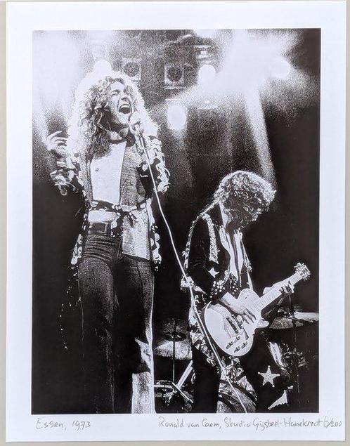 Ronald van Caem, studio Gijsbert Hanekroot - Led Zeppelin,, Antiek en Kunst, Kunst | Designobjecten