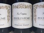 2023 Domaine Andre & Edmond Figeat Les Origines - Pouilly, Nieuw