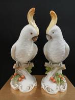Vista Alegre - Figurine - Couple of cockatoo parrots -, Antiek en Kunst