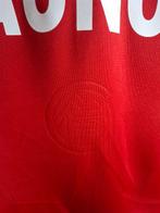 FC Bayern München - Duitse voetbal competitie - Willy Sagnol