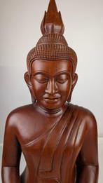 Groot beeld Boeddha in Lotushouding - bois dur tropical, Antiek en Kunst