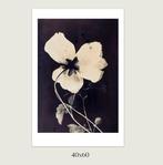 Jorge Omeñaca (1981) - Flowering II