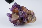 FLUORITE multicolore de lILLINOIS avec CHALCOPYRITE -