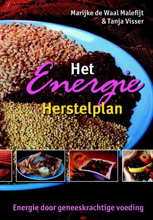 Het energie herstelplan 9789063787691 T. Visser, Boeken, Kookboeken, Gelezen, Verzenden