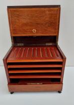 Boîte à cigares - Bois de violette - Cave à cigare