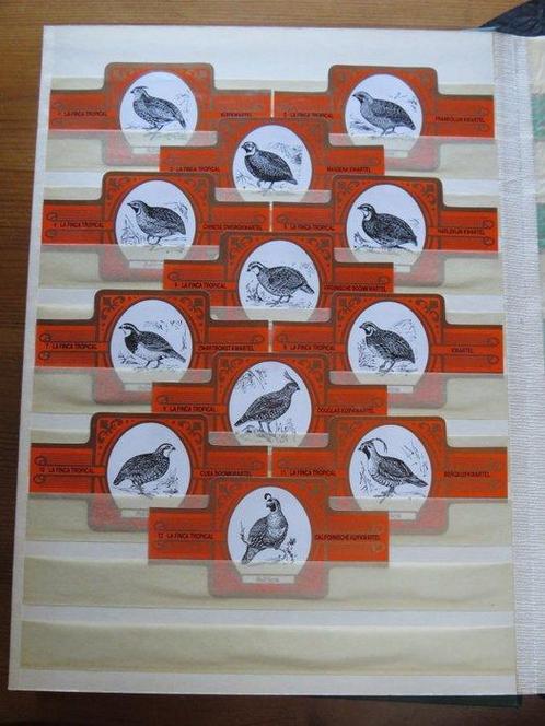 Collection thématique - Livre détiquettes de cigares,, Antiek en Kunst, Antiek | Speelgoed