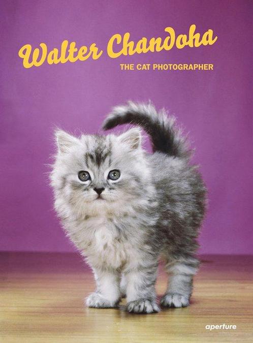 Walter Chandoha 9781597114530 David LaSpina, Boeken, Overige Boeken, Zo goed als nieuw, Verzenden