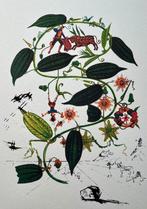 Salvador Dali (1904-1989) - Passion Flower