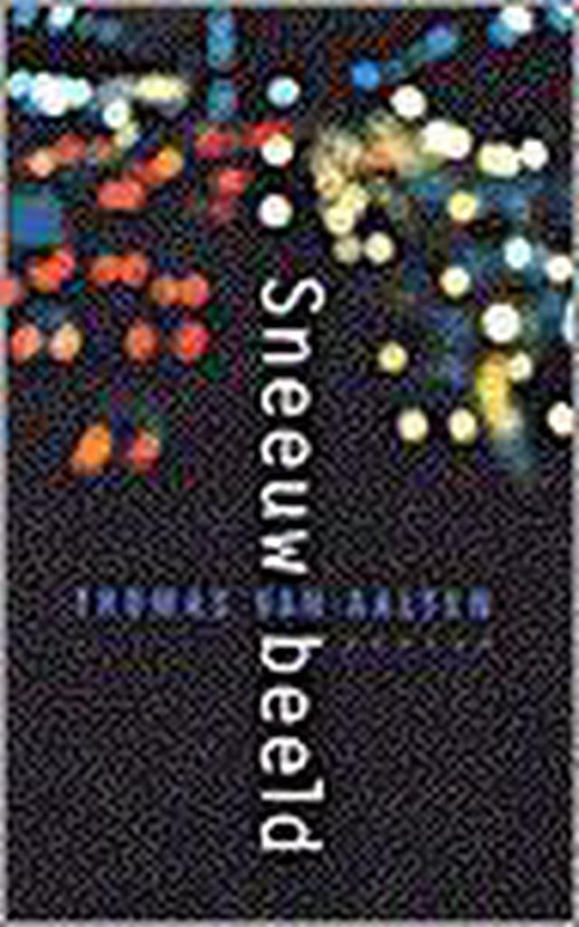 Sneeuwbeeld 9789057592737 T. van Aalten, Boeken, Romans, Gelezen, Verzenden