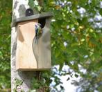 NIEUW - Vogelhuisje Simon King, Dieren en Toebehoren, Vogels | Overige Vogels