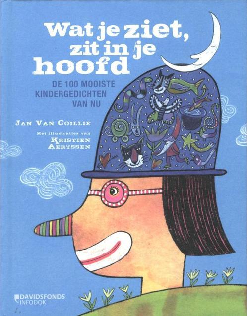 Wat je ziet, zit in je hoofd 9789059084254 Jan van Collie, Boeken, Kinderboeken | Jeugd | onder 10 jaar, Zo goed als nieuw, Verzenden