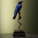 Irena Taxidermie Opgezette Dieren By Max, Verzamelen, Ophalen of Verzenden, Nieuw, Vogel, Opgezet dier