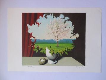René Magritte (1898-1967), despues de - The nature