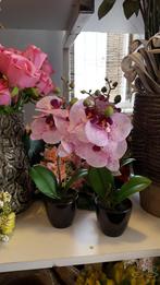 Orchidee in pot 34cm. h fuchsiapaars/wit fu, Nieuw