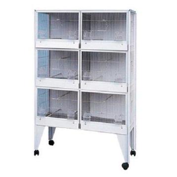 Volière Roma nr 31