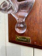 Station météo - Verre - Donderglas Stormglas