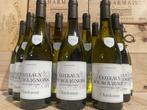 2020 Bourgogne Chardonnay - Bourgogne - 12 Flessen (0.75