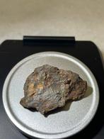 Sericho Pallasite Steenijzer meteoriet - 12.1 g, Verzamelen