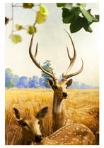 Roberto Cavalli (1971) - Into the wild / reliquary deer #956, Antiek en Kunst