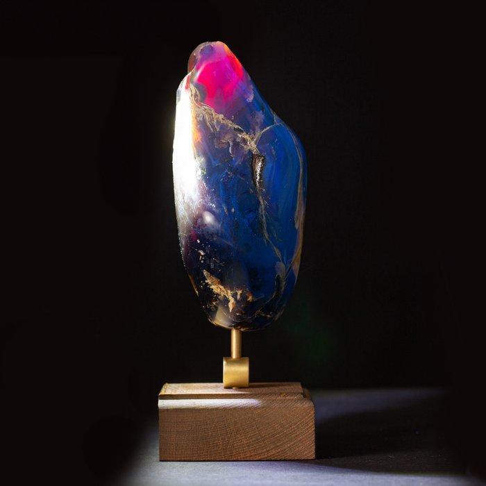 Fossiele barnsteenmonster uit Sumatra - Zeldzaam exemplaar, Verzamelen, Mineralen en Fossielen