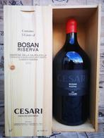 2010 Cesari Bosan - Amarone della Valpolicella Riserva - 1, Collections, Vins