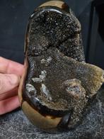 Beautiful large sculpture - Septaria - Septarie - Dragon egg, Collections