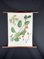 erich kramer - Schoolkaart (6) - Papier, Hout, Linnen