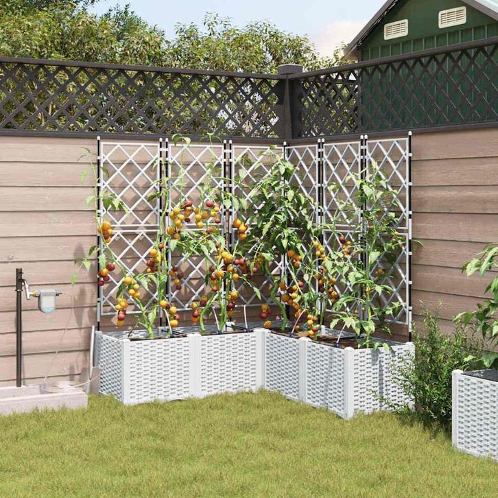 vidaXL Tuin Plantpot 5 pcs Wit Kunststof, Tuin en Terras, Bloempotten, Nieuw, Verzenden