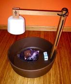 Cappellini - Daphna Laurens - Tafellamp - Fruitlamp - Hout,