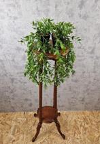 Handgemaakt. schoolproject. - Plantentafel - Eik - Piedestal, Antiek en Kunst