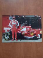 Ferrari F1 - Fernando Alonso - Signed photo, Nieuw