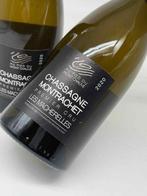 2020 Au Pied du Mont Chauve Les Macherelles -, Collections