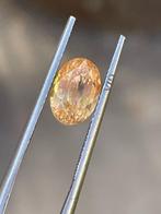 1 pcs Oranje Saffier - 3.56 ct, Handtassen en Accessoires, Edelstenen, Nieuw