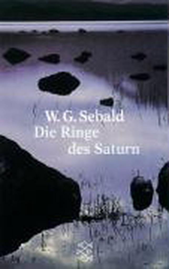 Die Ringe DES Saturn 9783596136551 W G Sebald, Boeken, Taal | Engels, Gelezen, Verzenden