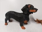 Beeld, fine lifelike statue of a dachshund - 31 cm -, Antiek en Kunst