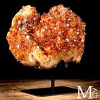 Exclusieve Citrine Quartz Druzy - Madeira Geode -