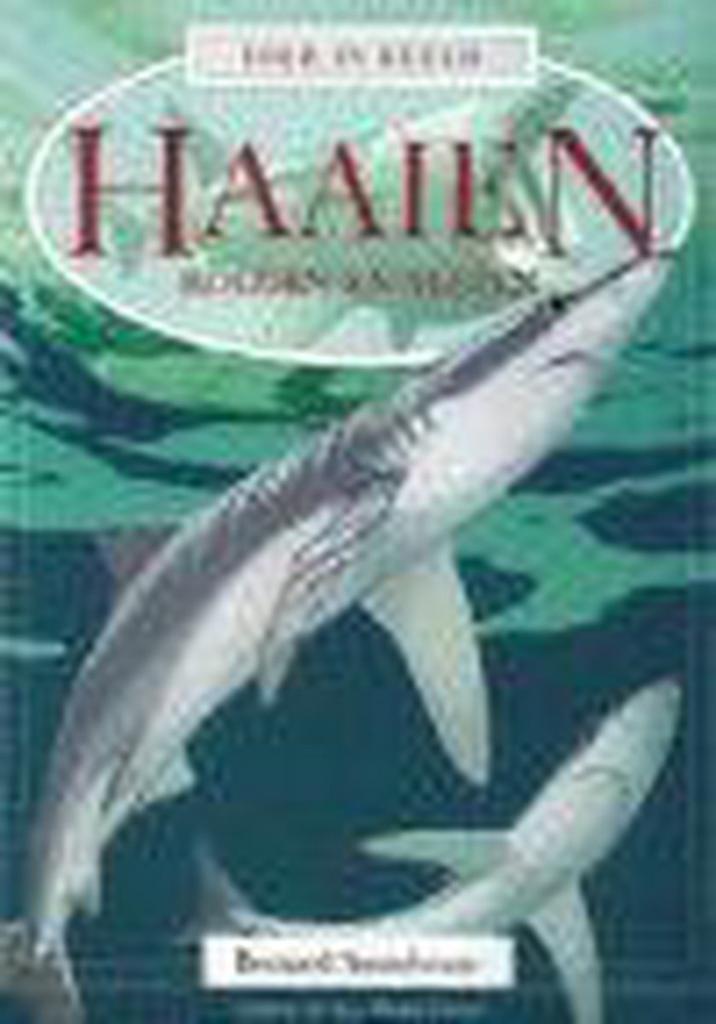 Haaien, vleten en roggen / Dier in beeld 9789054832690, Boeken, Overige Boeken, Gelezen, Verzenden