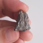 Maan meteoriet. Bechar 006. Rots van de maan. Individueel -, Collections