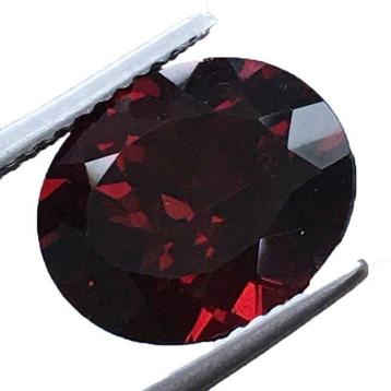 Zonder Minimumprijs Rood Granaat - 6.25 ct - International