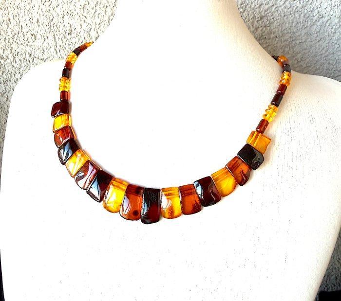 Natuurlijke Baltische barnsteen-halsketting, brede, Verzamelen, Mineralen en Fossielen