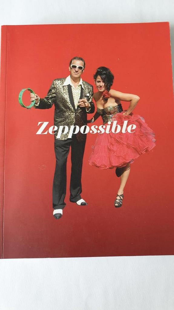 zeppossible 9789081913300 Marcella van der Weg, Boeken, Hobby en Vrije tijd, Gelezen, Verzenden